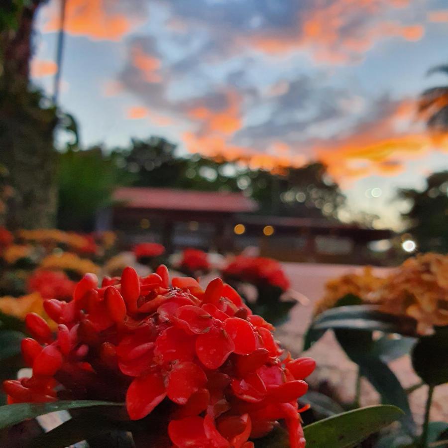 Panorama Park Hotel Igaracu do Tiete Bagian luar foto